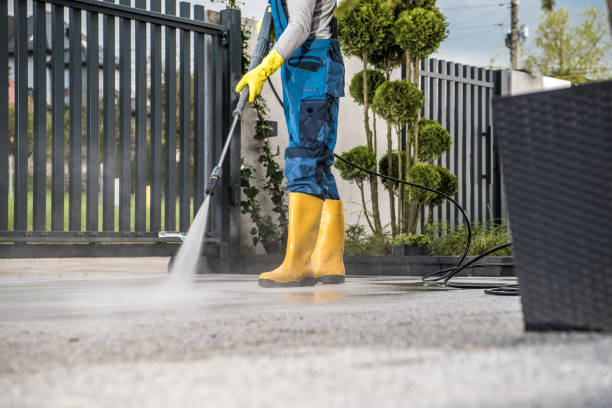 Local Pressure Washing Services in Port Townsend, WA